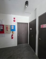 Serangoon Road (D8), Shop House #639708831